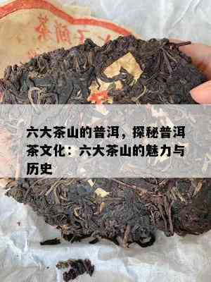 六大茶山的普洱，探秘普洱茶文化：六大茶山的魅力与历史