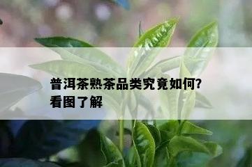 普洱茶熟茶品类究竟如何？看图了解