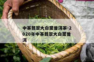 中茶翡翠大白菜普洱茶-2020年中茶翡翠大白菜普洱