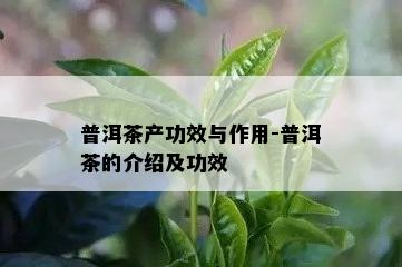 普洱茶产功效与作用-普洱茶的介绍及功效