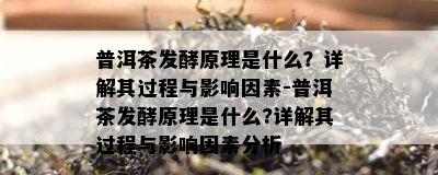 普洱茶发酵原理是什么？详解其过程与影响因素-普洱茶发酵原理是什么?详解其过程与影响因素分析