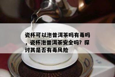 瓷杯可以泡普洱茶吗有吗，瓷杯泡普洱茶安全吗？探讨其是否有风险