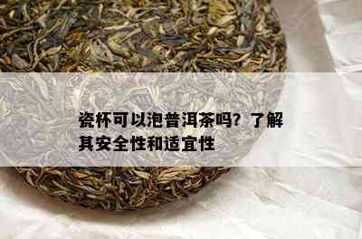 瓷杯可以泡普洱茶吗？了解其安全性和适宜性