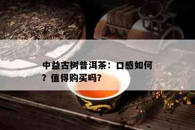 中益古树普洱茶：口感如何？值得购买吗？