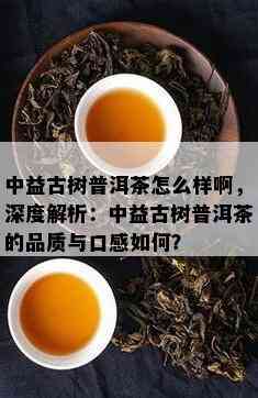 中益古树普洱茶怎么样啊，深度解析：中益古树普洱茶的品质与口感如何？