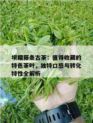 坝糯藤条古茶：值得收藏的特色茶叶，独特口感与转化特性全解析