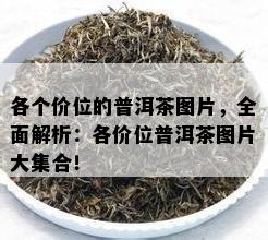 各个价位的普洱茶图片，全面解析：各价位普洱茶图片大集合！