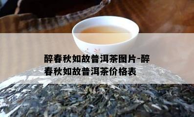 醉春秋如故普洱茶图片-醉春秋如故普洱茶价格表