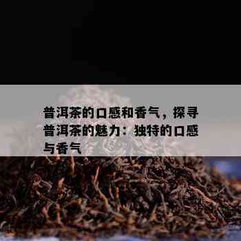 普洱茶的口感和香气，探寻普洱茶的魅力：独特的口感与香气