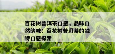 百花树普洱茶口感，品味自然韵味：百花树普洱茶的独特口感探索