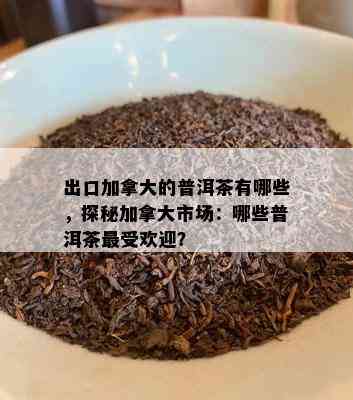 出口加拿大的普洱茶有哪些，探秘加拿大市场：哪些普洱茶更受欢迎？