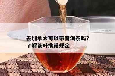 去加拿大可以带普洱茶吗？了解茶叶携带规定