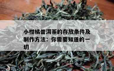 小柑橘普洱茶的存放条件及制作方法：你需要知道的一切