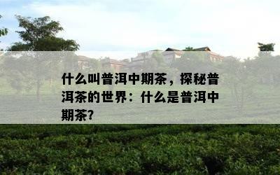 什么叫普洱中期茶，探秘普洱茶的世界：什么是普洱中期茶？