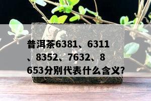 普洱茶6381、6311、8352、7632、8653分别代表什么含义？