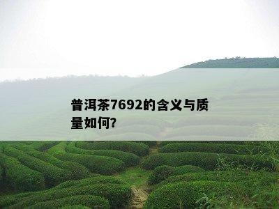 普洱茶7692的含义与质量如何？