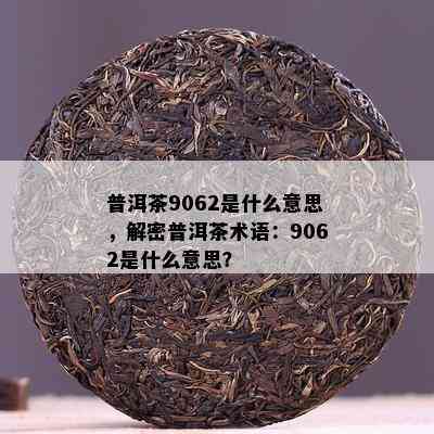 普洱茶9062是什么意思，解密普洱茶术语：9062是什么意思？