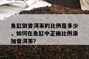 缸倒普洱茶的比例是多少，如何在缸中正确比例添加普洱茶？