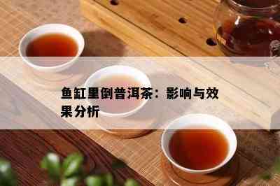 缸里倒普洱茶：影响与效果分析