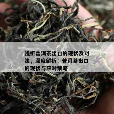 浅析普洱茶出口的现状及对策，深度解析：普洱茶出口的现状与应对策略