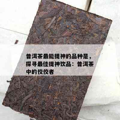 普洱茶最能提神的品种是，探寻更佳提神饮品：普洱茶中的佼佼者