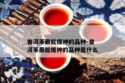 普洱茶最能提神的品种-普洱茶最能提神的品种是什么