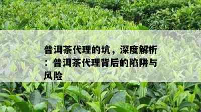 普洱茶代理的坑，深度解析：普洱茶代理背后的陷阱与风险