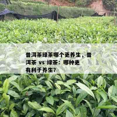 普洱茶绿茶哪个更养生，普洱茶 vs 绿茶：哪种更有利于养生？