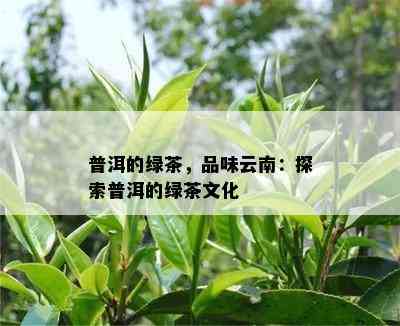 普洱的绿茶，品味云南：探索普洱的绿茶文化