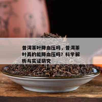 普洱茶叶降血压吗，普洱茶叶真的能降血压吗？科学解析与实证研究