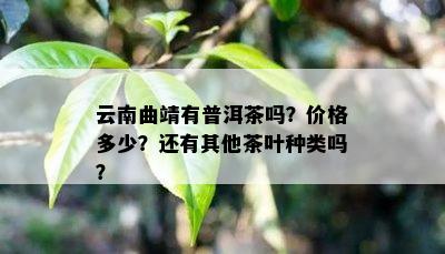 云南曲靖有普洱茶吗？价格多少？还有其他茶叶种类吗？