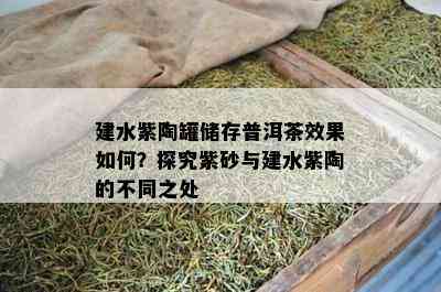 建水紫陶罐储存普洱茶效果如何？探究紫砂与建水紫陶的不同之处