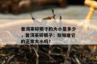 普洱茶碎银子的大小是多少，普洱茶碎银子：你知道它的正常大小吗？