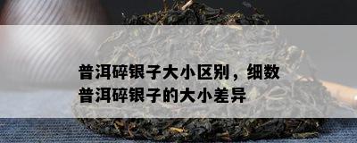 普洱碎银子大小区别，细数普洱碎银子的大小差异