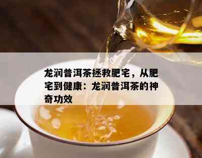 龙润普洱茶拯救肥宅，从肥宅到健康：龙润普洱茶的神奇功效