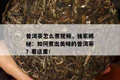 普洱茶怎么煮视频，独家揭秘：如何煮出美味的普洱茶？看这里！