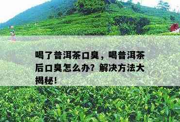 喝了普洱茶口臭，喝普洱茶后口臭怎么办？解决方法大揭秘！