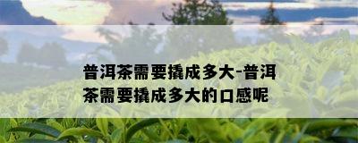 普洱茶需要撬成多大-普洱茶需要撬成多大的口感呢