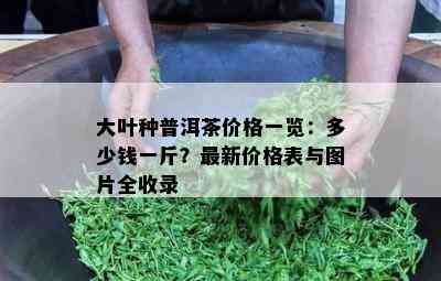 大叶种普洱茶价格一览：多少钱一斤？最新价格表与图片全收录