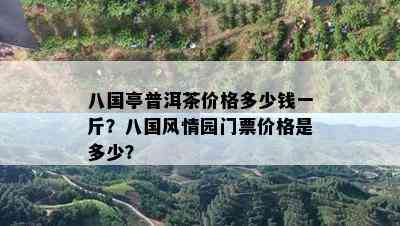 八国亭普洱茶价格多少钱一斤？八国风情园门票价格是多少？