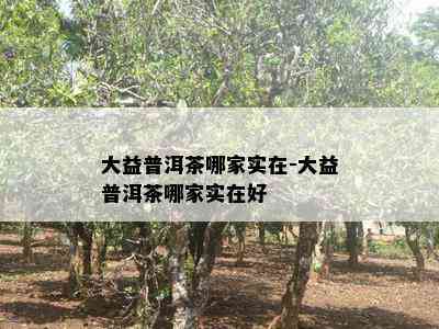 大益普洱茶哪家实在-大益普洱茶哪家实在好