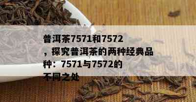 普洱茶7571和7572，探究普洱茶的两种经典品种：7571与7572的不同之处