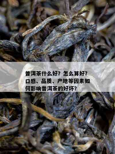 普洱茶什么好？怎么算好？口感、品质、产地等因素如何影响普洱茶的好坏？