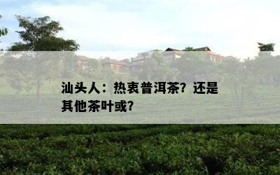 汕头人：热衷普洱茶？还是其他茶叶或？