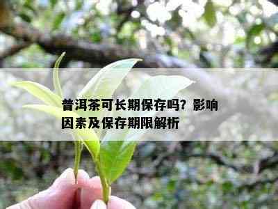 普洱茶可长期保存吗？影响因素及保存期限解析