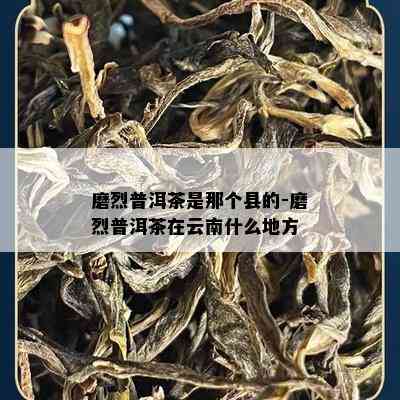 磨烈普洱茶是那个县的-磨烈普洱茶在云南什么地方