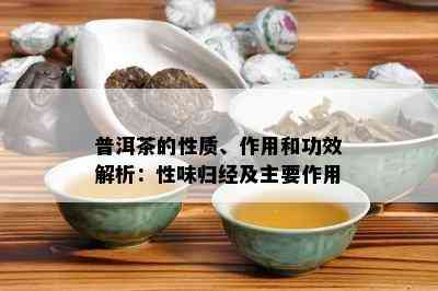 普洱茶的性质、作用和功效解析：性味归经及主要作用