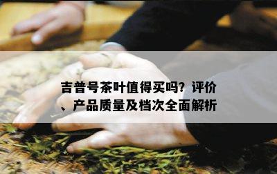 吉普号茶叶值得买吗？评价、产品质量及档次全面解析