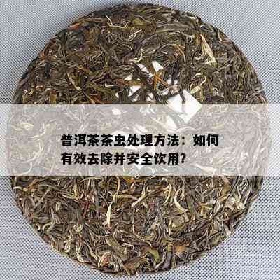 普洱茶茶虫处理方法：如何有效去除并安全饮用？