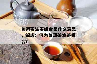 普洱茶生茶组合是什么意思，解惑：何为普洱茶生茶组合？